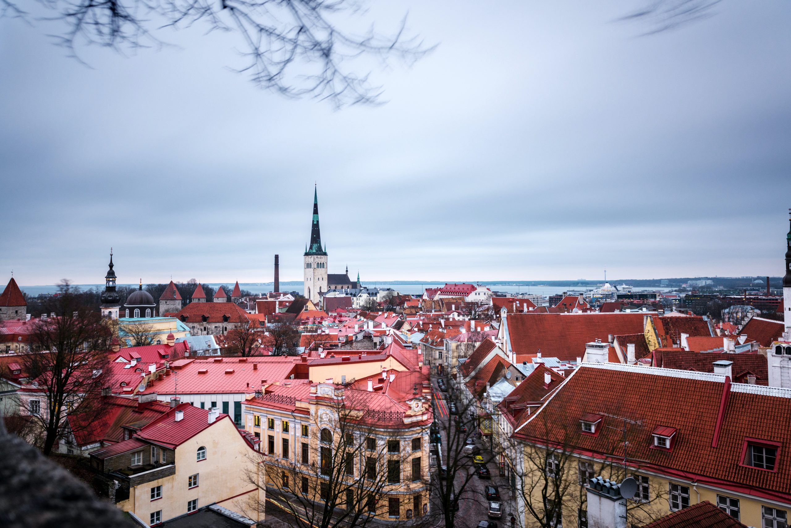 Estonia: An attractive destination for non-EU companies